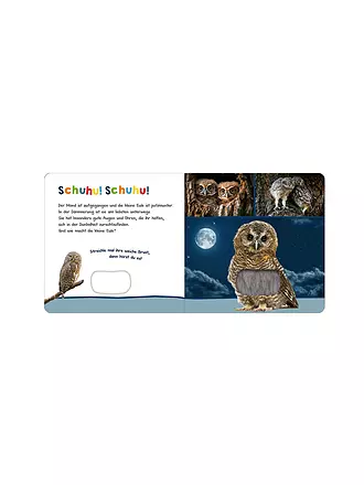 ARS EDITION VERLAG | Buch - Hör mal rein, wer kann das sein? – Tiere in der Nacht | 